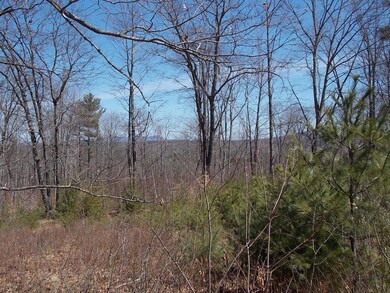 2 Allard Hill Rd, Conway, NH 03818 - photo 6