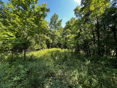 260FA13B-B996-46C8-B488-3058365E8CEF