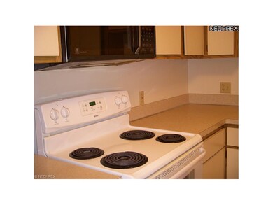 Calling all cooks:  Newer range surrounded by plen