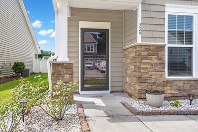 329 Bracken Fern Rd, Moncks Corner, SC 29461 - photo 3