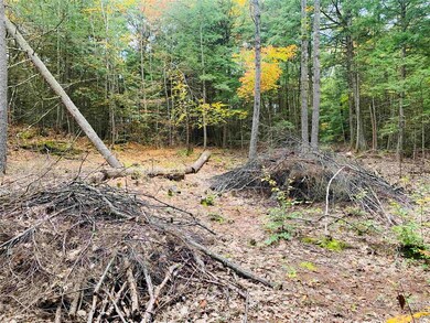 0 Meany Rd unit 4887098, Charlestown, NH 03603 - photo 5