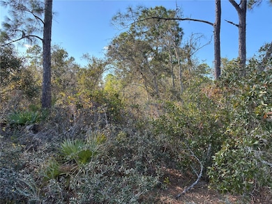 321 Showboat Ave, Lake Placid, FL 33852 - photo 4