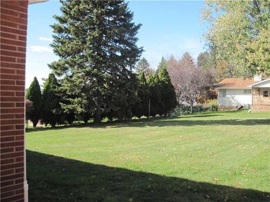 Yard/Garden.