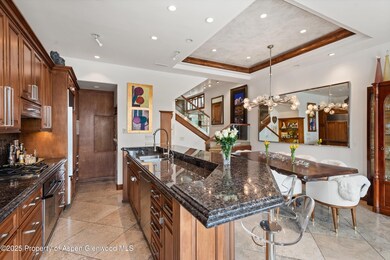 155 Lone Pine Rd unit 9, Aspen, CO 81611 - photo 6