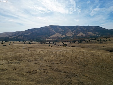 49 Restful Haven Dr, Lyle, WA 98635 - photo 6