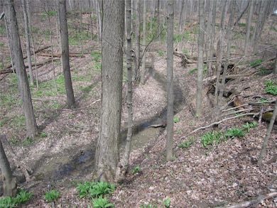 Small creek in the valley