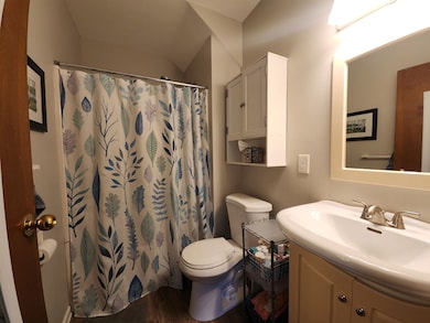 806 Mill St, Midland, MI 48640 - photo 7