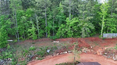 1035 Golden Rd, Temple, GA 30179 - photo 3