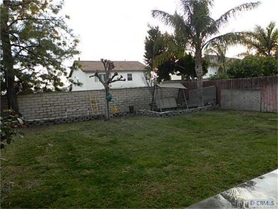 Back yard