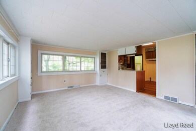 223 Vine St, Wayland, MI 49348 - photo 4