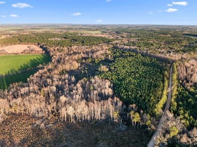 0 Thomas Rd unit 549544, Millen, GA 30442 - photo 4