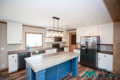 4204 Balsa St, Carlsbad, NM 88220 - photo 4