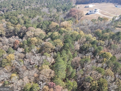 0 Oconee Rd Lot 5, Buckhead, GA 30625 - photo 5