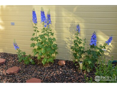 More mature perennials