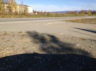 2207 S Ronnie Ct, Big Lake, AK 99654 - photo 4