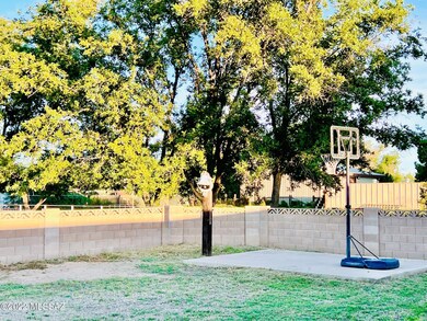 back yard