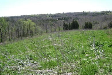 426 Central Pike, Harrodsburg, KY 40330 - photo 4