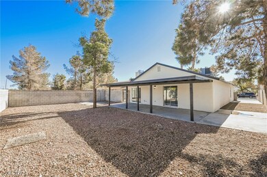 HUGE backyard with low maintenance landscaping and