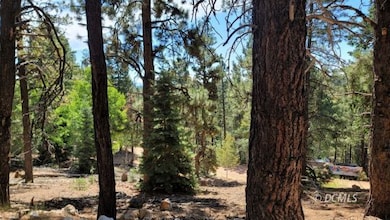 1675 Centurion Cir, Duck Creek Village, UT 84762 - photo 3