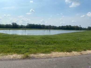 lot 24 Buddy Gore Rd, Gonzales, LA 70737 - photo 3