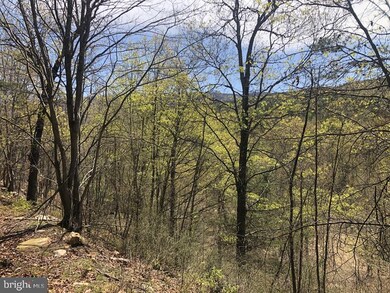 146 Ashton Woods Dr, Old Fields, WV 26836 - photo 4