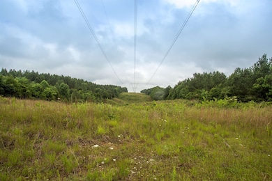 115 Baudy James Rd, Cedar Grove, TN 38321 - photo 3