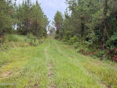 0 Airport Ln, Crosby, MS 39633 - photo 6