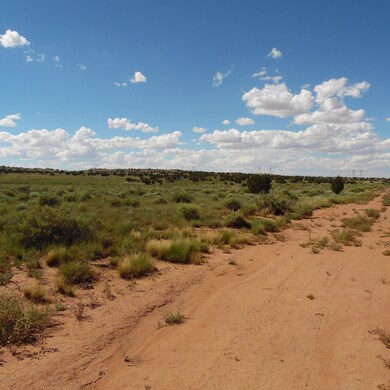 Lunsann Cupples Trail 002