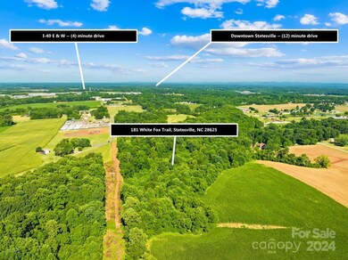 181 White Fox Trail, Statesville, NC 28625 - photo 5