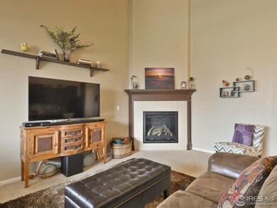 Gas Fireplace