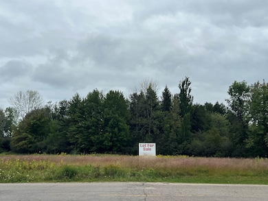 0 Old Peshtigo Rd unit 50297484, Marinette, WI 54143 - photo 3