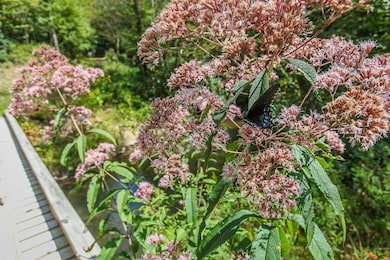 9765 Little Snowbird Rd, Robbinsville, NC 28771 - photo 5