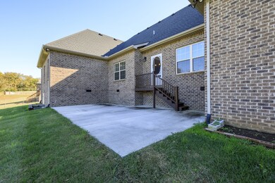 503 Apple Blossom Trail, Shelbyville, TN 37160 - photo 3
