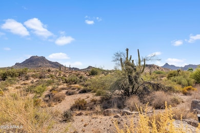 11473 E Oberlin Way unit 20, Scottsdale, AZ 85262 - photo 4