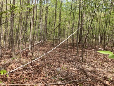 0 Canterbury Dr unit KEY872516, Newburgh, NY 12550 - photo 7