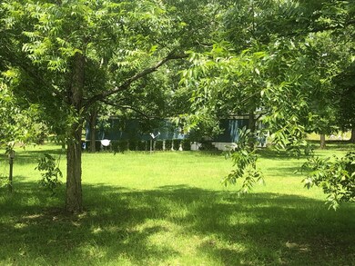 00 Carl Cloud Rd, Climax, GA 39834 - photo 4