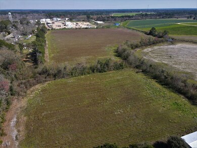 0 Alton Rd, Norman Park, GA 31017 - photo 3