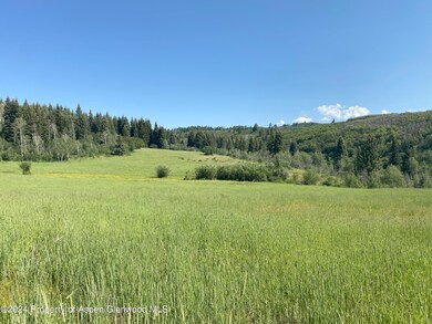 IMG_5461