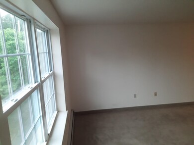 486 Nashua St unit 215, Milford, NH 03055 - photo 4