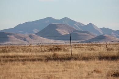 IMG_4493