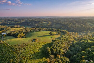 174 Last Resort Rd, Galena, MO 65656 - photo 4