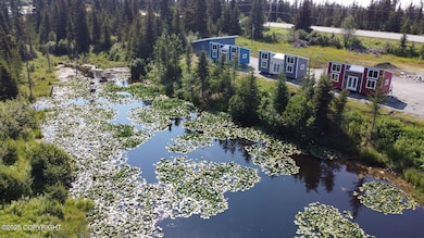 Tiny homes not included