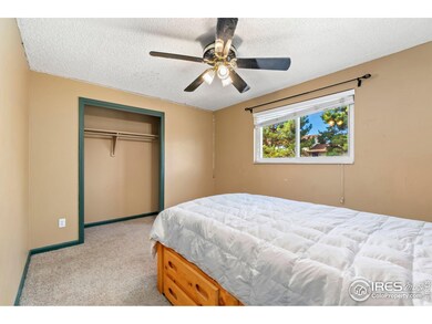 13187 Mercury Dr, Lone Tree, CO 80124 - photo 7