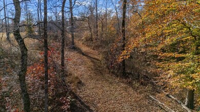 120 Fiser Rd, Waverly, TN 37185 - photo 6