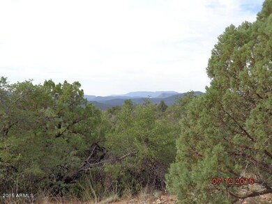 Sierra Ancha Mtns from edge of the lot