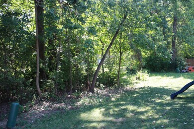 Private Back Yard!