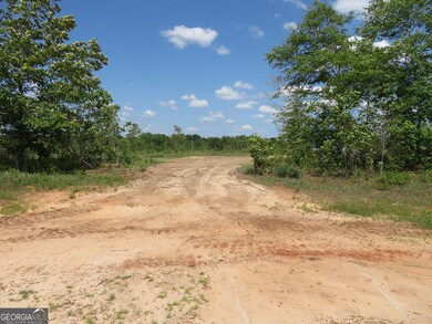0 Ebenezer Rd, Ellaville, GA 31806 - photo 7