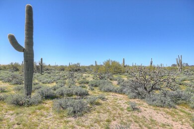 7176 East Dixileta Drive-MLS_Size-007-10