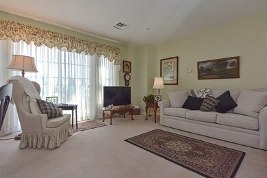 43 Kendall Ave unit 110, Sherborn, MA 01770 - photo 4
