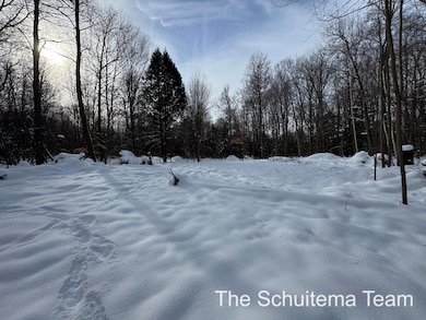 V/L Hickory St, Fruitport, MI 49415 - photo 5